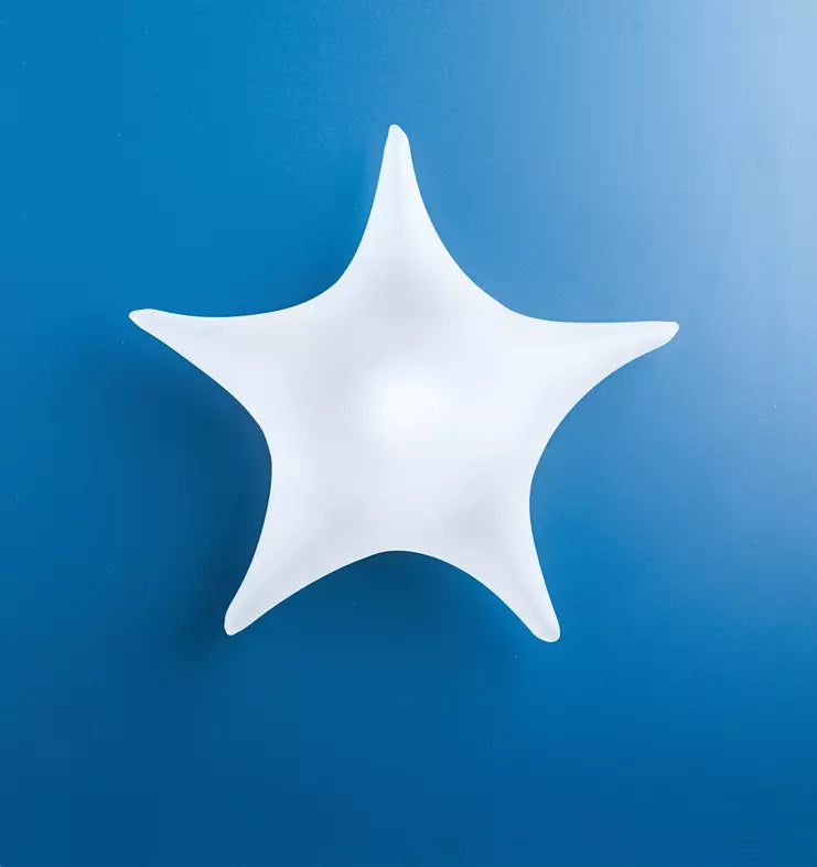 Album Pasticcione Stella Ricambio Vetro