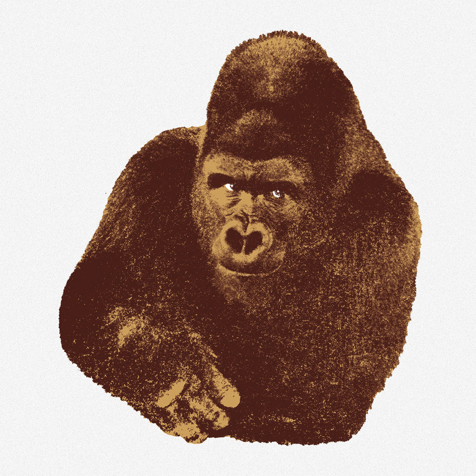 Danese Milano Quindici, Il Gorilla