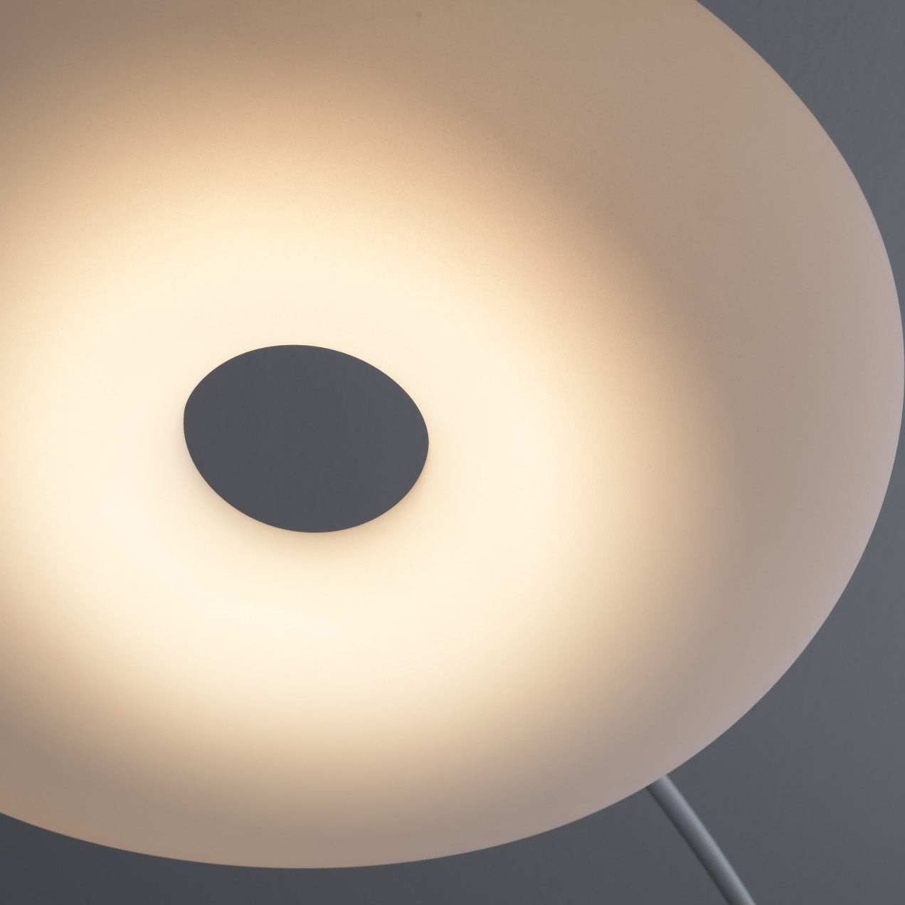 Stilnovo Mr Magoo terra