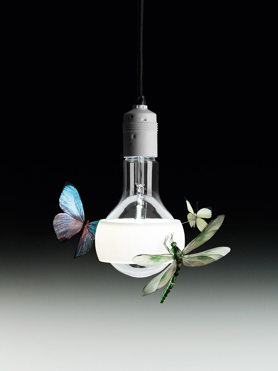 Lampadina LED Ricambio per Ingo Maurer Johnny B. Good /Bald / Butterfly