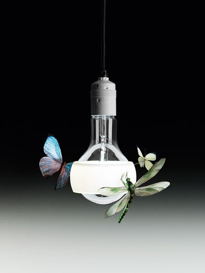 Lampadina LED Ricambio per Ingo Maurer Johnny B. Good /Bald / Butterfly