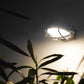 Martinelli Luce Out parete