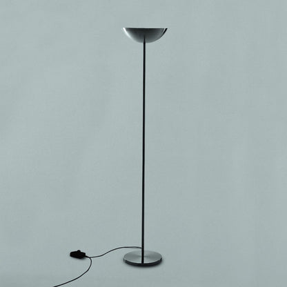 Martinelli Luce V.D.L. Terra